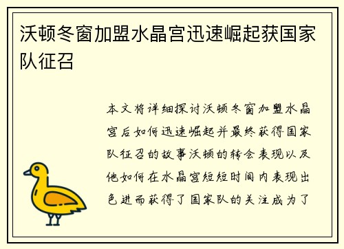沃顿冬窗加盟水晶宫迅速崛起获国家队征召